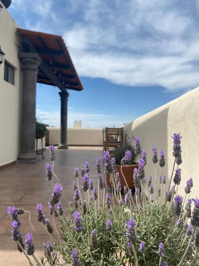 Hotel La Lejona San Miguel de Allende Exteriér fotografie